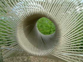 Rectangle 8